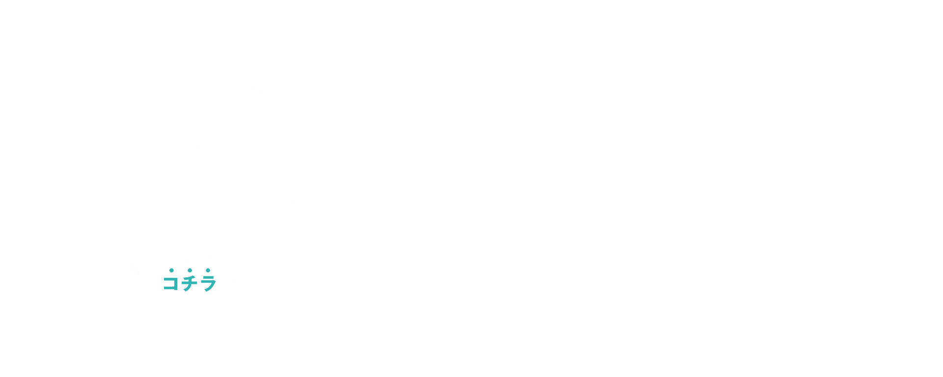 採用ページはこちら